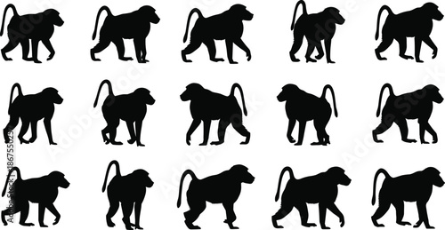 Baboon monkey silhouette illustration set, wild animal walking and standing poses collection, nature and wildlife primate icons, safari zoo fauna vector design elements,
