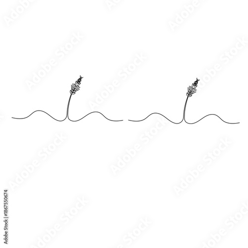 Continuous line drawing of wheat ears isolated on a white background vector illustration

