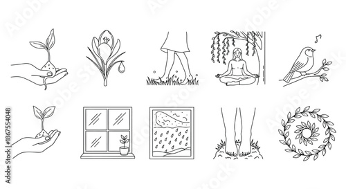 Illustrations of nature and serenity Vector
