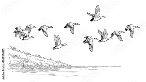 Flock of birds in flight over a serene landscape with a body of water and grassy bank