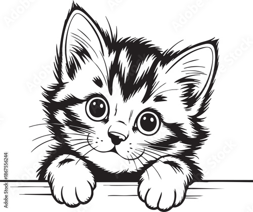 Adorable black and white kitten peeks over edge with large expressive eyes and fluffy fur in a cartoonish illustration.