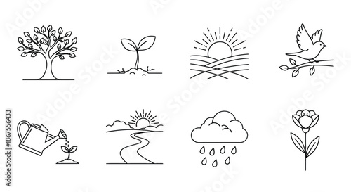 Nature's elements and growth Vector