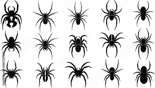 Black spider silhouette set with tarantula, widow, and arachnid species, spooky insect elements isolated on white background for halloween design vector
