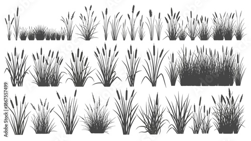 Diverse vector collection of stylized black silhouettes depicting natural wetland plants, including various reeds, cattails, and marsh grasses for botanical and landscape design projects