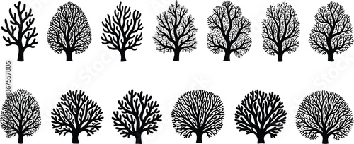 Collection of thirteen black hand drawn tree silhouettes with detailed branches and organic shapes for nature forest and landscape graphic design. (20 words)