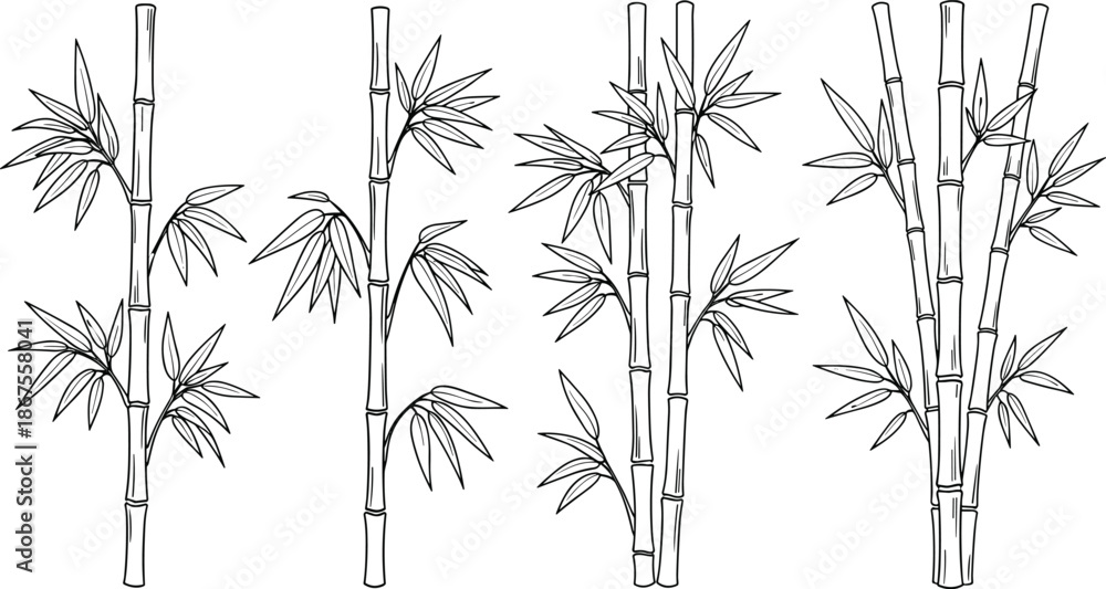Obraz premium Set of black bamboo silhouettes with detailed leaves and stalks in three different arrangements for Asian inspired nature graphic design. (20 words)