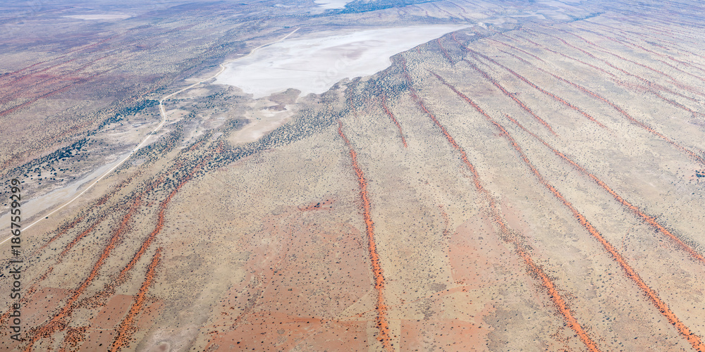 Fototapeta premium dry pan and lines of Kalahari parallel red dunes, near Auob Camp, Namibia