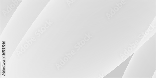 White abstract elegant High key bakground. white satin or silk background. white digital fabric background. white texture.