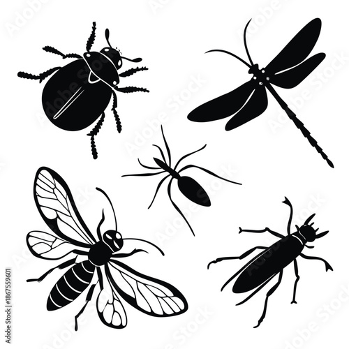 Silhouettes of various insects