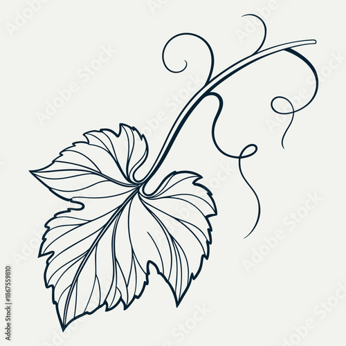 Elegant leaf illustration