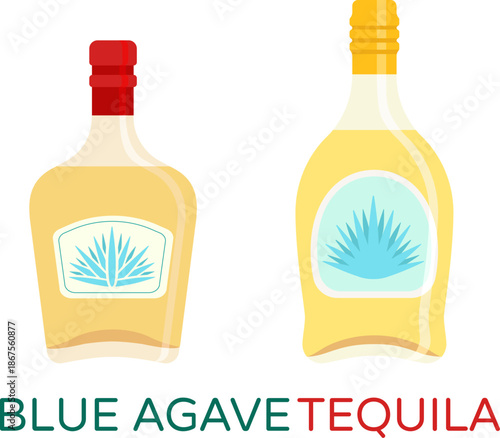 Two bottles of tequila isolated on white background in color. Traditional alcohol of Mexico with symbols of the blue agave on labels. 