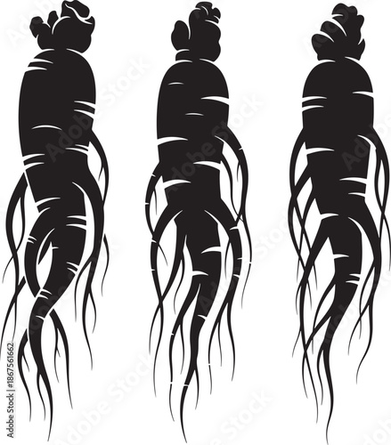 Set of ginseng root silhouettes, medicinal herbal plant roots icon isolated on white background.
