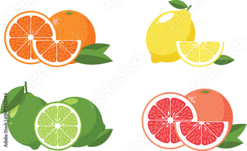 Citrus fruits vector illustration set featuring orange lemon lime and grapefruit whole and sliced isolated on white background