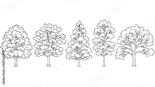 Set of 5 Outline Tree Illustrations Vector