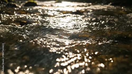 Wallpaper Mural Abstract macro view of vibrant sunlight dappling and shimmering across the fast-moving rippled surface of a forest stream reflection, energy, foreststream Torontodigital.ca