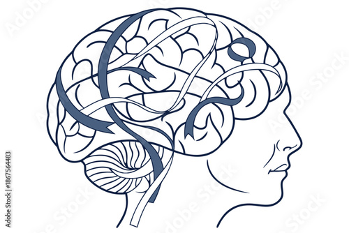 Conceptual human brain formed from flowing ribbon shapes, organic but mathematically balanced curves