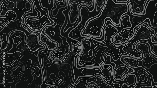 Elegantly contrasting topographic lines in white against a deep black backdrop, highlighting geographical contours for educational or artistic