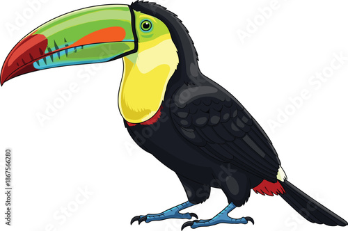 Colorful toucan bird illustration with large beak, tropical wildlife animal cartoon isolated on white background