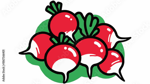 A cluster of round, red radishes with white tips and green leafy tops