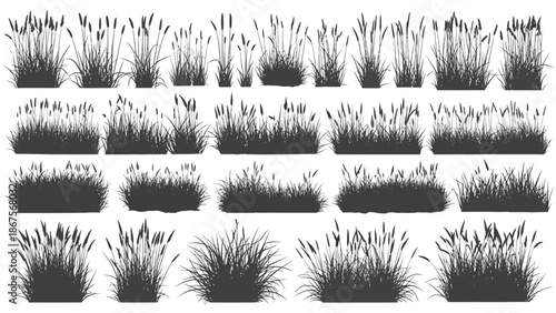 Collection of Silhouetted Grass and Reed Clumps in Various Styles