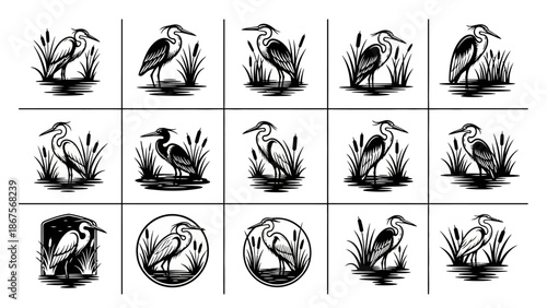 Elegant Heron Bird Collection in Vintage Engraved Illustration Style, Perfect for Wetland Wildlife Nature Vector Art and Logo Designs