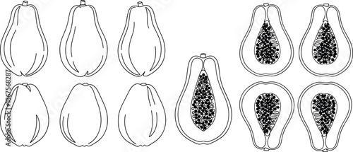 Line art drawing of whole and halved papaya fruit set, exotic tropical pawpaw botanical vector illustration for coloring or food design
