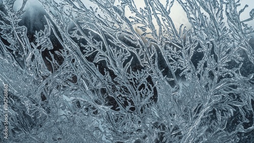 Frost-covered branches with ice crystals on a cold winter day. Nature and winter landscape. Ice and frost formation on plant life. The beauty of icy weather.