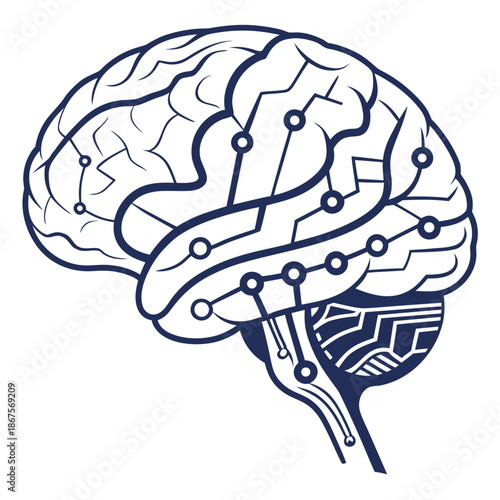 Illustration of a human brain with neural connections