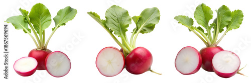 Set of A radish with cut out isolated on a transparent background