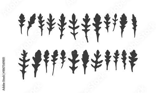 Various Arugula leaf silhouettes, set of real leaf prints, vegetarian food, healthy food, microgreens. Vector illustration
