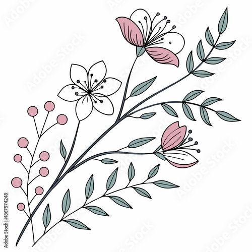 Delicate flower branch illustration