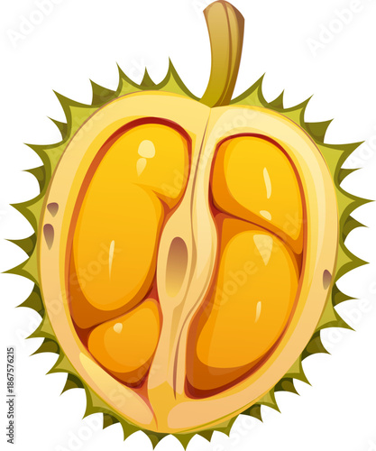 Cartoon tropical ripe raw half of durian fruit. Isolated vector spiky green shell opened to reveal soft yellow pulp inside. Exotic fruit with strong aroma and creamy texture, natural edible plant