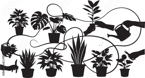 Silhouette of hands watering various potted plants indoors