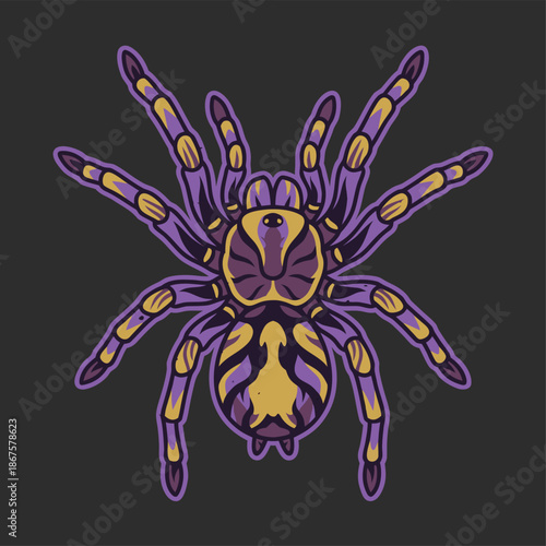 Illustration of a purple tarantula spider.