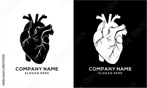 Detailed Human Heart Anatomy Illustration in Black and White.