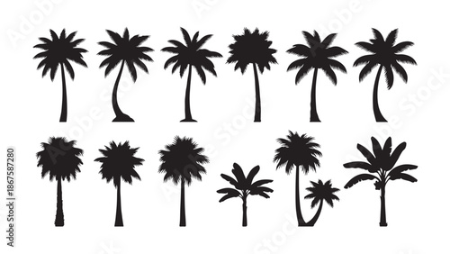 Palm tree silhouette set featuring black tropical palm symbols with lush foliage. Relaxed exotic vacation mood. Nature icons for logos, websites, travel brochures, and pattern design. Vector illustrat