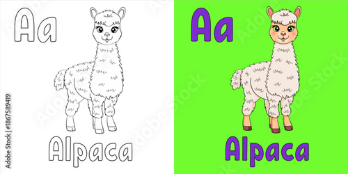 Animal Alphabet Letter A – Alpaca. Cute ABC Educational Illustration for Kids, Printable Vector