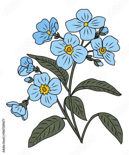 Clean flat vector illustration of blue forget-me-not flowers with green leaves, hand-drawn botanical style, isolated on transparent background.