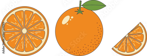 Illustration of a whole orange a slice and a cross section displaying pulp