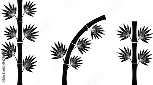 Bamboo silhouette illustration set, black vector bamboo stalks with leaves, tropical asian nature design elements collection