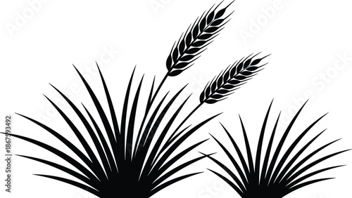 Barley wheat silhouette illustration, black vector cereal grain ears with grass leaves, agricultural farming nature design elements isolated