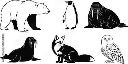 Silhouette vector set of 6 Arctic Animals polar bear penguin walrus seal arctic fox and snowy owl