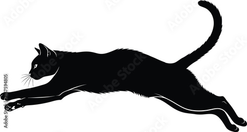 A sleek black cat in mid air captured in a dynamic jumping pose