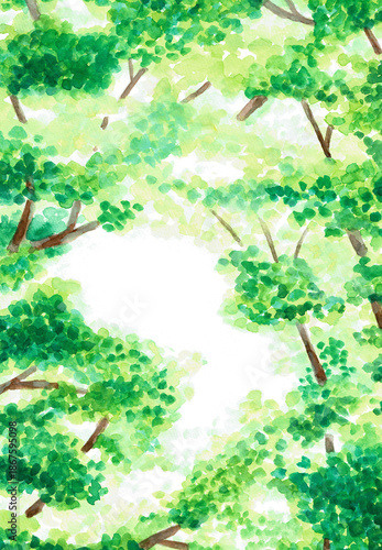 手描きの水彩イラスト　木漏れ日　背景	
