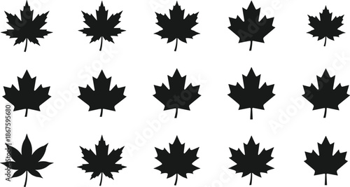 Maple leaf silhouette set, black vector autumn foliage icons collection, natural seasonal leaves shapes for design use