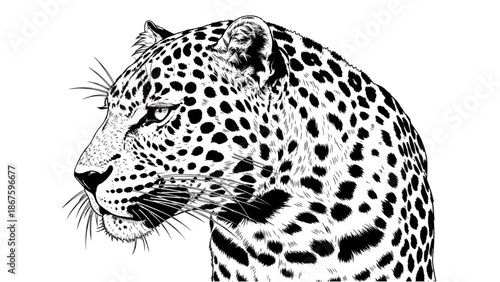 Graphic Black and White Leopard Head Profile Illustration with Bold Line Art