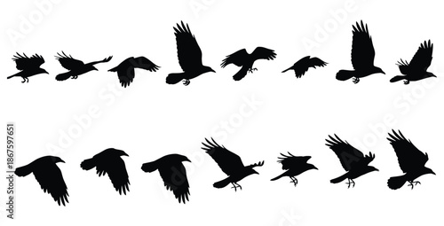 Silhouette animation sequence showcasing various stages of a majestic black raven bird flapping its wings while in continuous midair flight motion