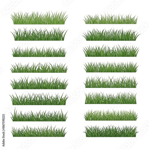 Green grass blades isolated on white background.