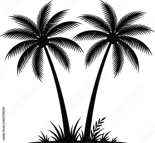 Twin palm tree silhouettes tropical beach nature illustration, black coconut palms vector design isolated white background