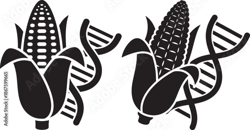 Black corn with dna genetic material